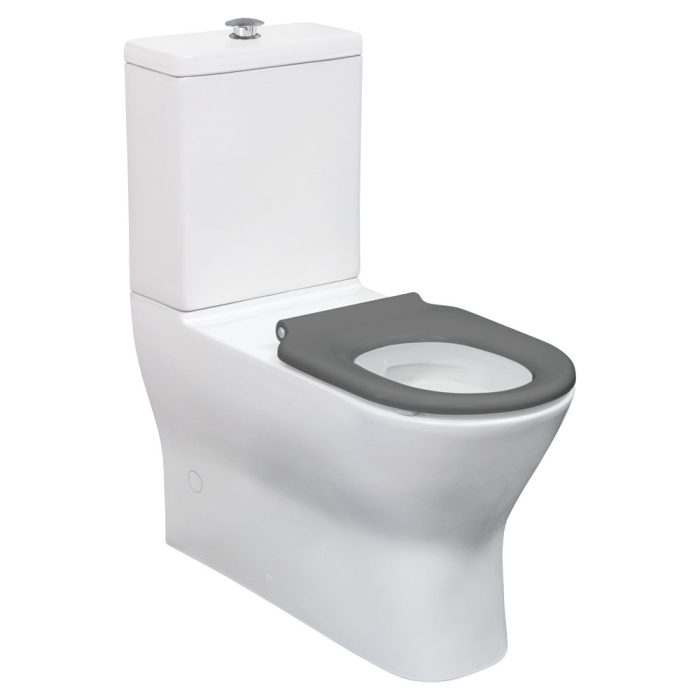 fienza Delta Care Back-to-Wall Toilet Suite Gloss White with Grey Seat