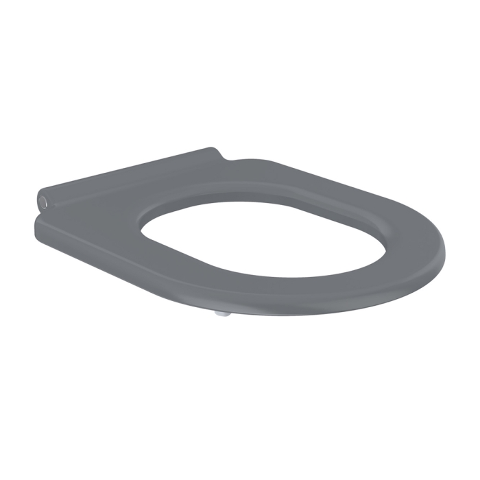 fienza Delta Care Toilet Seat Gloss Grey