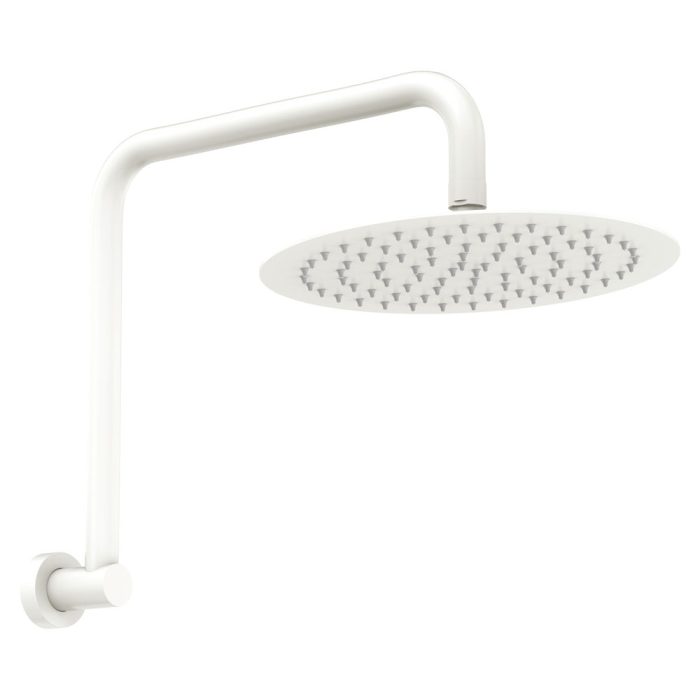 fienza Kaya Gooseneck Shower Arm Set Matte White