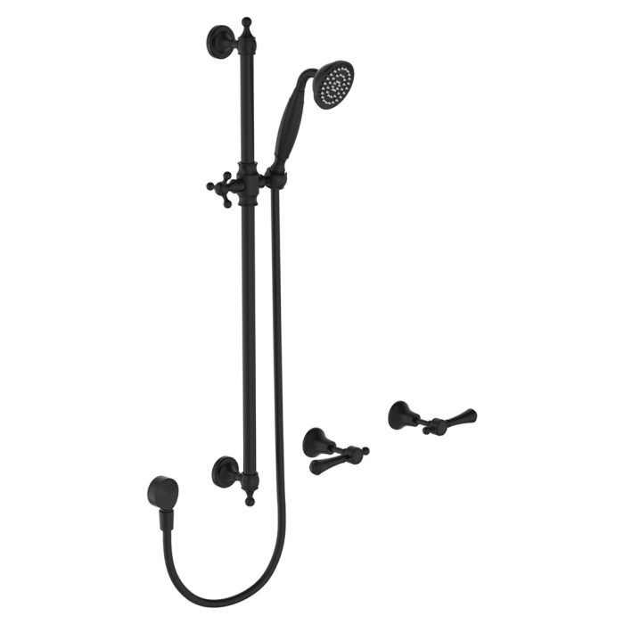 fienza Lillian Lever Rail Shower Set Matte Black