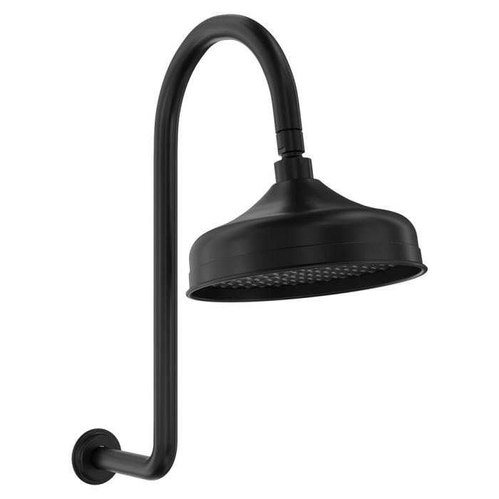 fienza Lillian Wall Arm Shower Set Matte Black