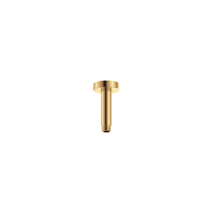 fienza Round Shower Dropper 100mm Urban Brass