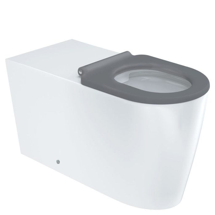fienza Isabella Care Wall-Faced Toilet Suite Gloss White with Grey Seat