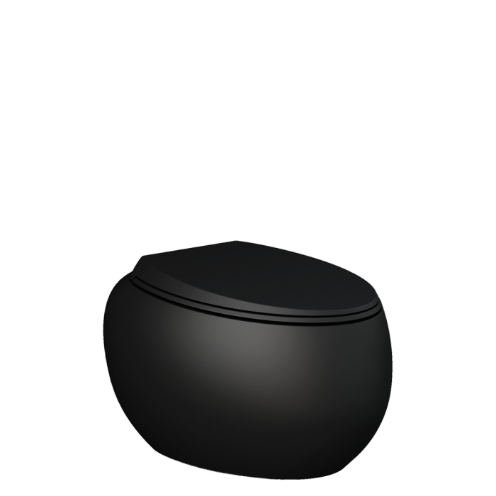 fienza RAK Cloud Wall-Hung Toilet Suite Matte Black
