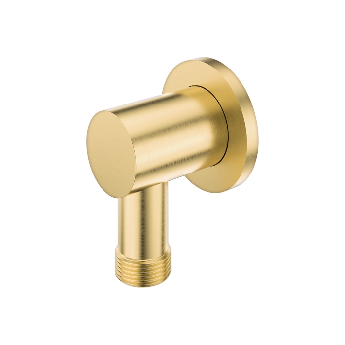 fienza Shower Inlet Elbow with Dual Check Valve Urban Brass