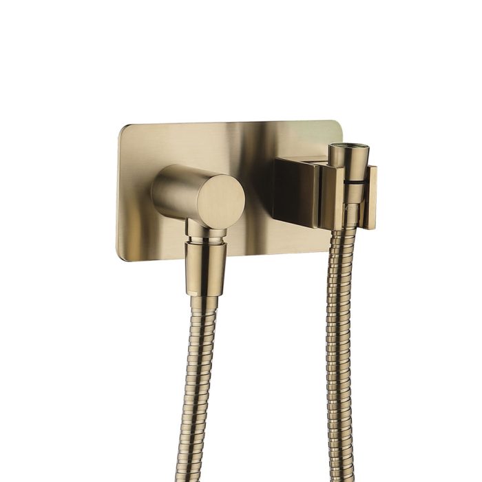 fienza Universal Hand Shower Bracket & Hose Rectangular Plate Urban Brass